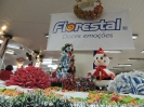 florestal 7